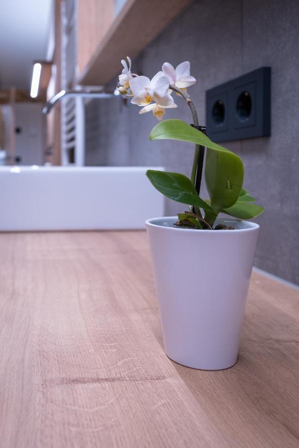Apartment Haus Schoenwies Alpbach Ngoại thất bức ảnh